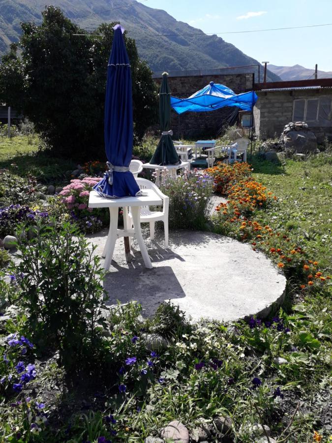 Kazbegi Guest House Ngoại thất bức ảnh