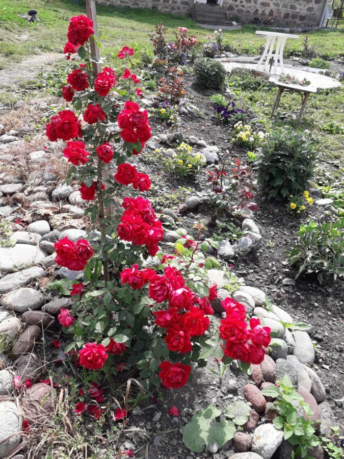 Kazbegi Guest House Ngoại thất bức ảnh