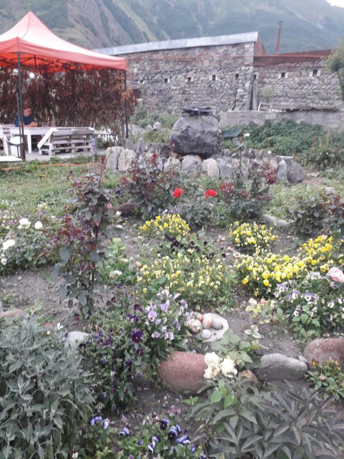 Kazbegi Guest House Ngoại thất bức ảnh